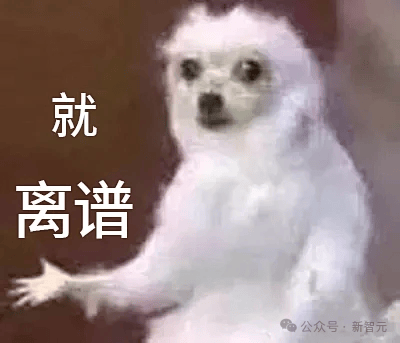 谷歌幹崩記憶體股論文被曝抄襲，華人學者血淚控訴