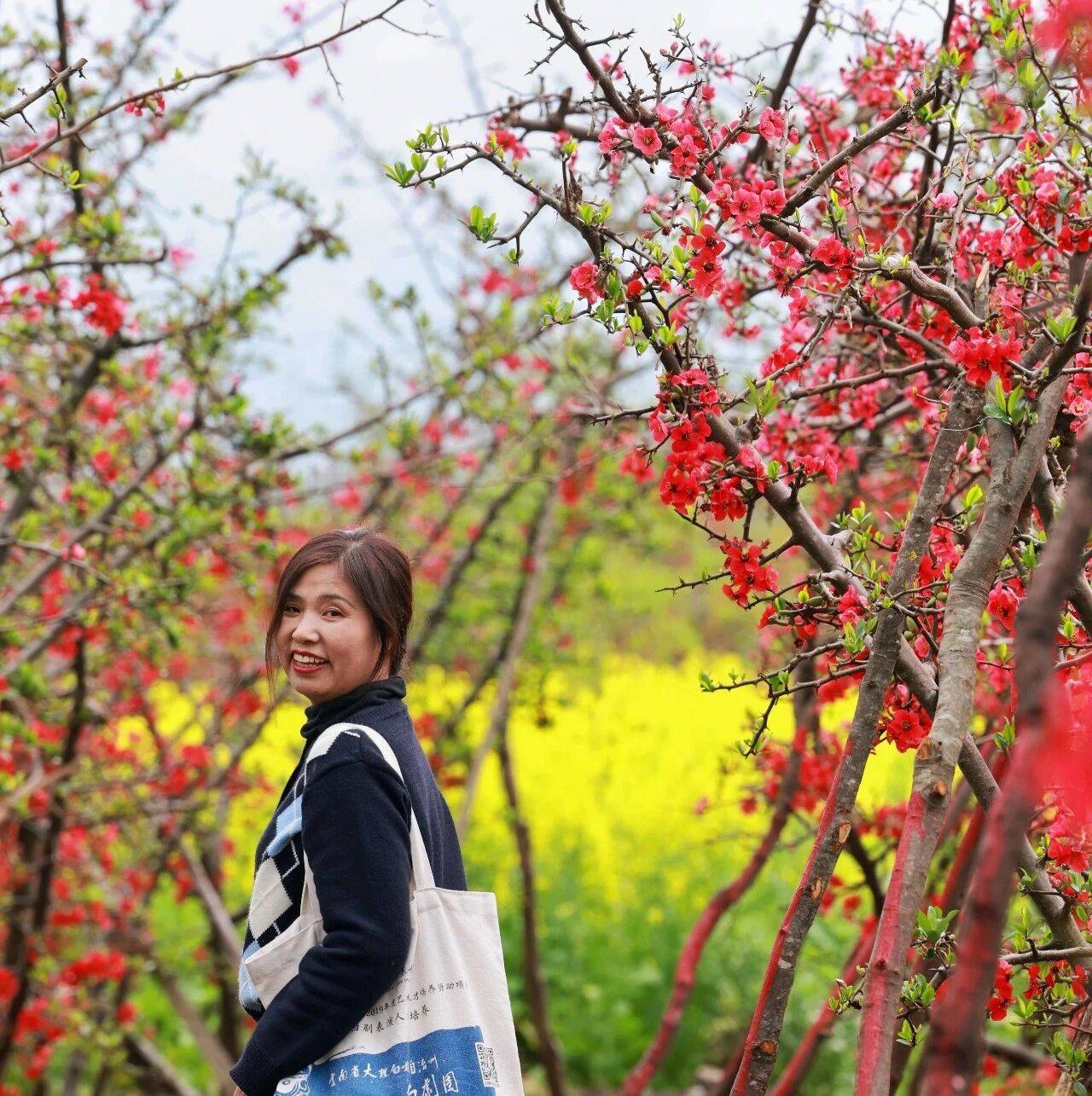 大理旅遊無淡季？洱海邊遊客如織！