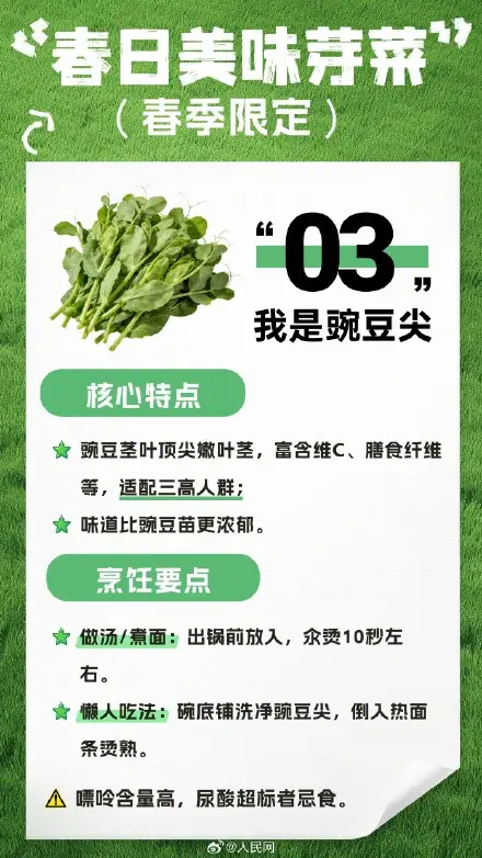 收藏！春日芽菜這樣吃健康美味