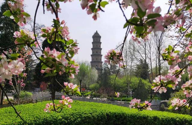 一磚一瓦遇春光，收藏這一幀幀“山河春韻圖”