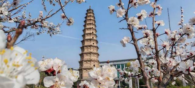 一磚一瓦遇春光，收藏這一幀幀“山河春韻圖”
