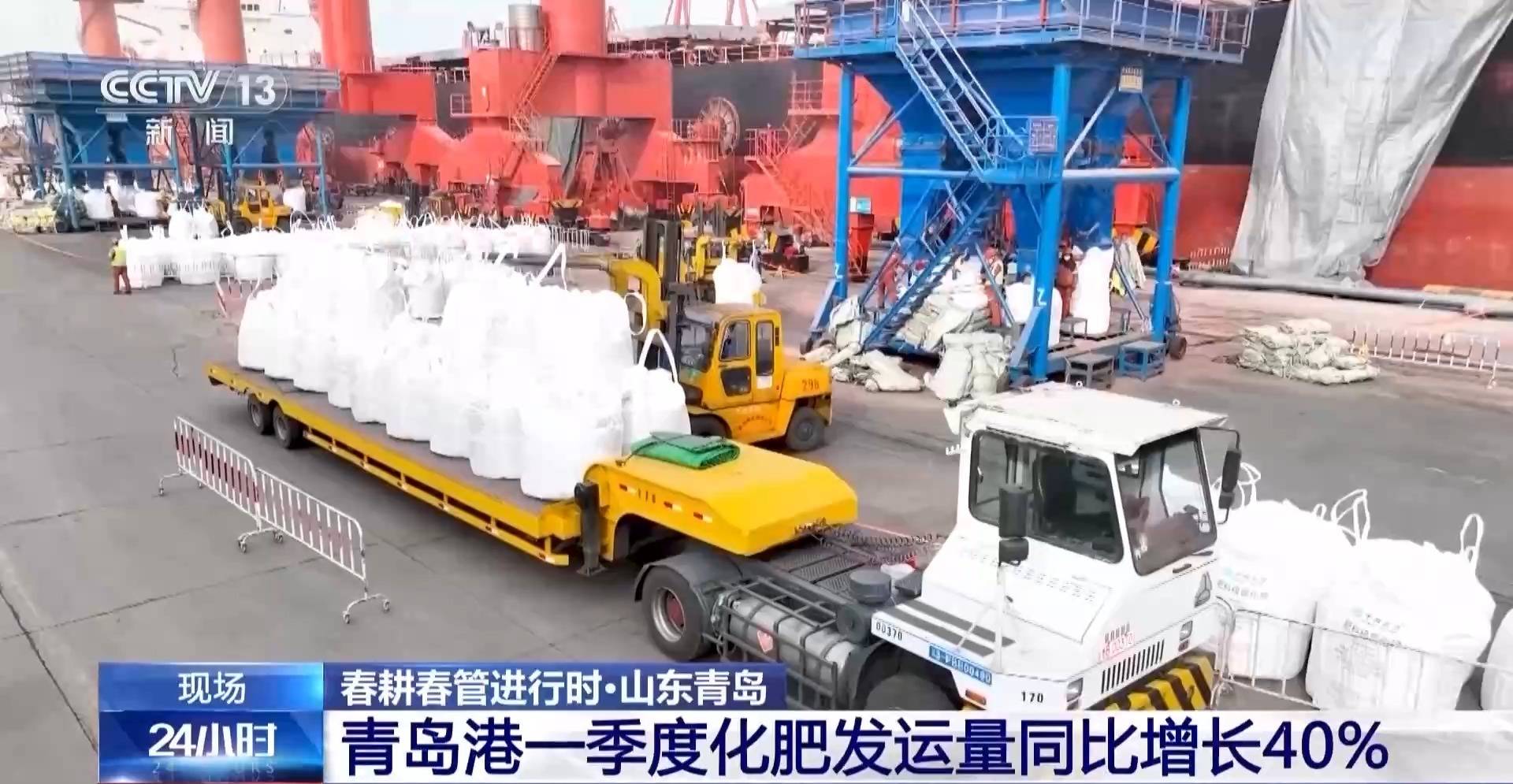 全國早稻育秧已過八成 科技春耕築牢“糧袋子”