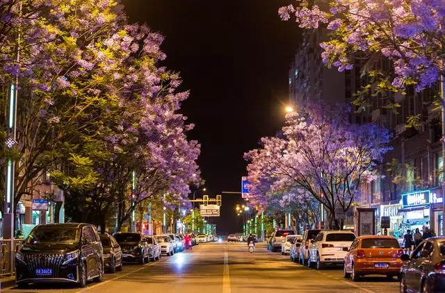 比大理浪漫！比昆明更近！高鐵直達陽光小城，2萬株藍花楹美瘋！觀海登山，美食吃到爽！