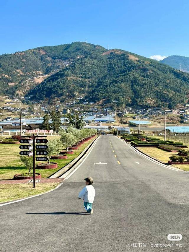 比大理浪漫！比昆明更近！高鐵直達陽光小城，2萬株藍花楹美瘋！觀海登山，美食吃到爽！