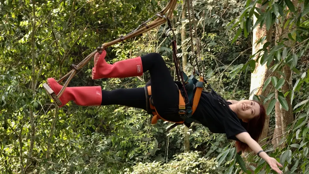 旅遊變旅居、旅創，西雙版納從旅遊目的地升級為可生活、可創業