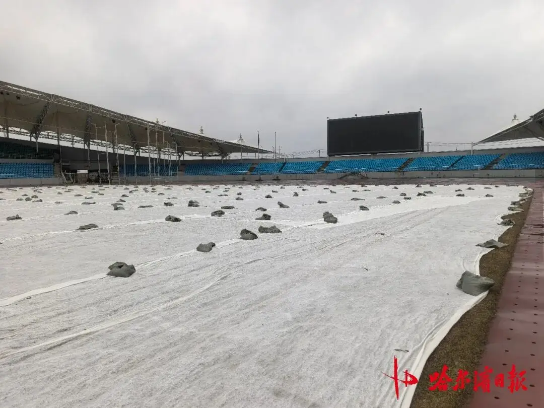 友誼第一！“東北超”哈爾濱隊主場最大休息室留給客隊，美食管夠、景區門票五折｜阿城誠意滿滿迎接體育盛宴