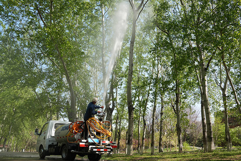 北京打出科技“組合拳”治理楊柳飛絮