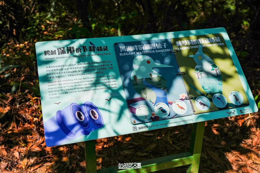 今日深圳｜聽說，羅芳郊野徑新開了個“狗狗圖書館”