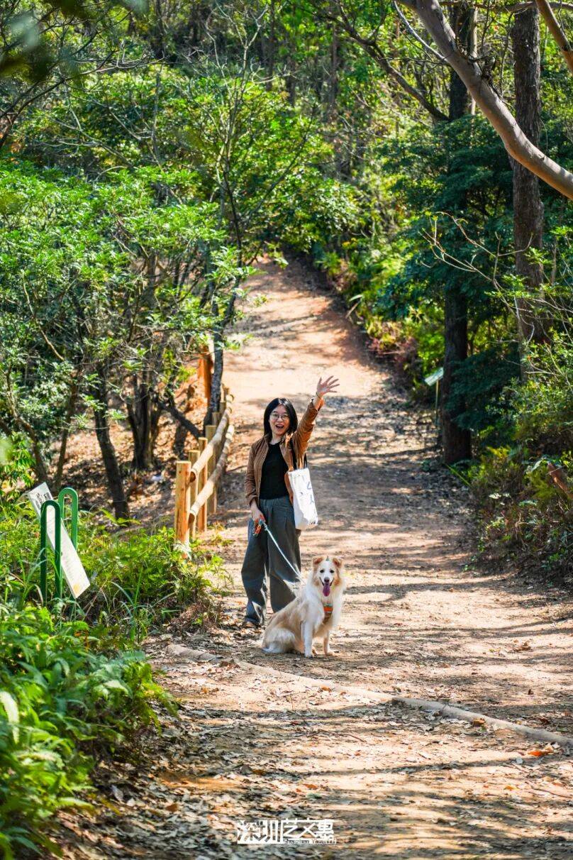 今日深圳｜聽說，羅芳郊野徑新開了個“狗狗圖書館”