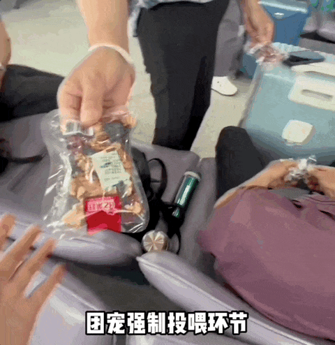 00後，整頓中老年旅遊團