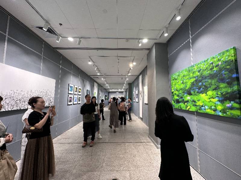 攬四時荷韻！來中山紀念圖書館赴一場荷塘雅課