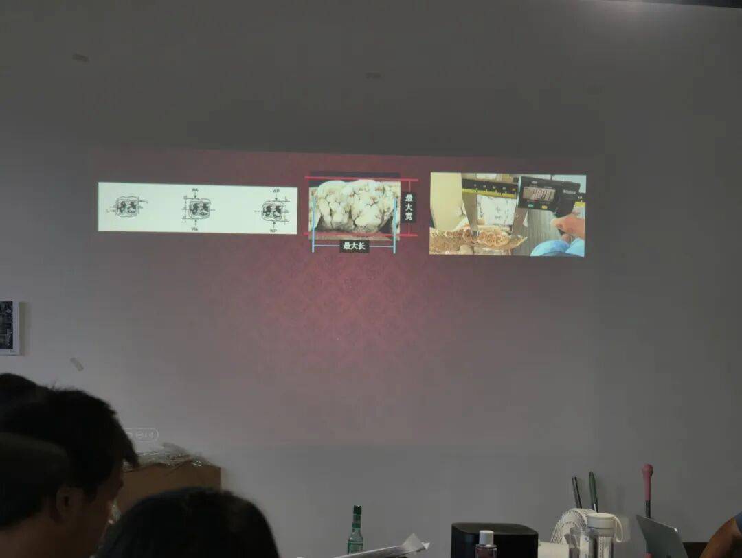 講座紀要丨尤悅：楚灣基地動物考古快速入門