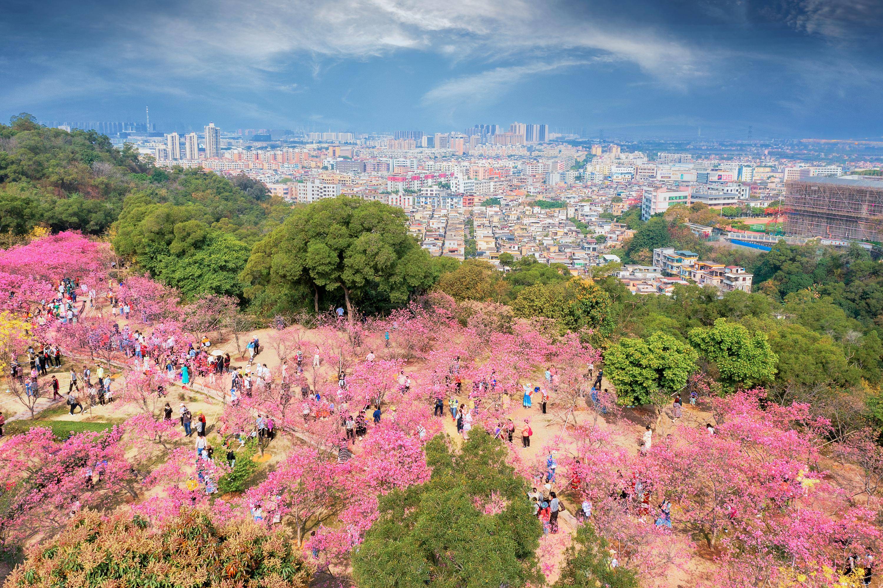 解鎖廣州南沙工業旅遊慢時光，玩轉寶藏小鎮大崗