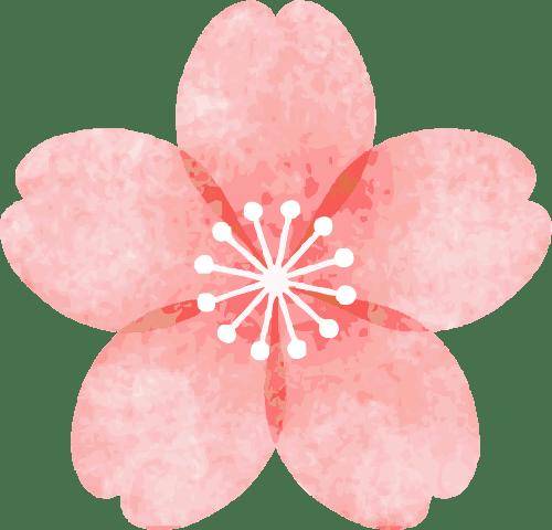 【婦產科普】主動康復：告別婦科術後焦慮，重拾女性健康底氣