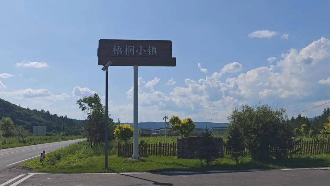 南岔縣梧桐鎮：深耕旅遊+藥膳融合發展 打造生態康養旅遊新名片