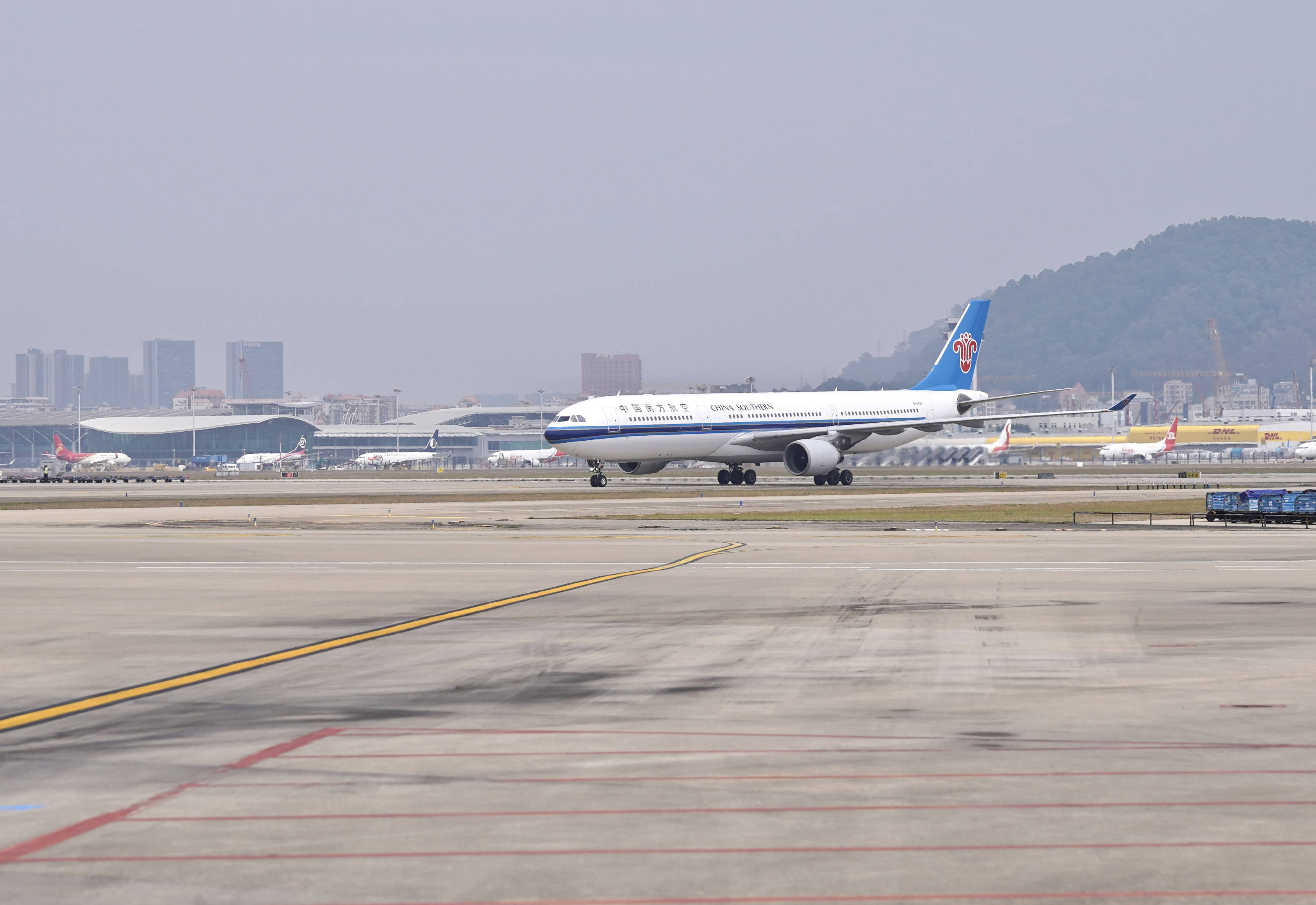 6噸鮮花“飛”抵深圳，南航物流為七夕浪漫保鮮提速