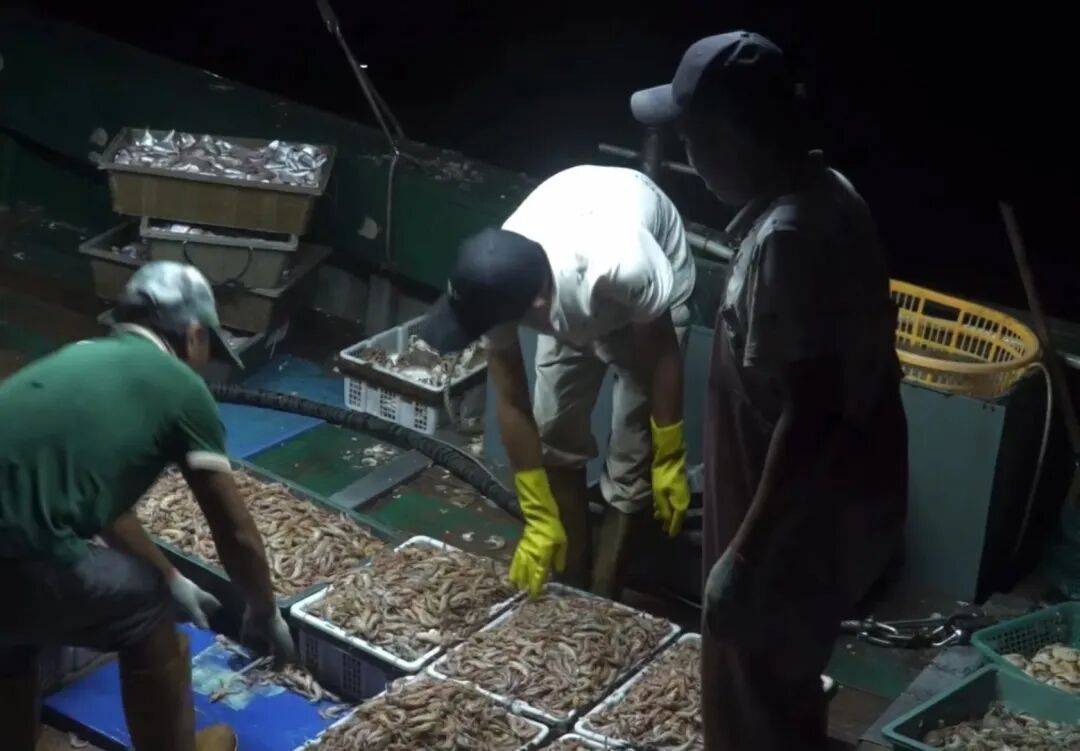 捶打上千次才做成的魚丸！非遺美食，一口下去，鮮嫩可口～