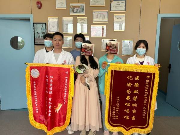 重慶寵物美容有哪些專業標準