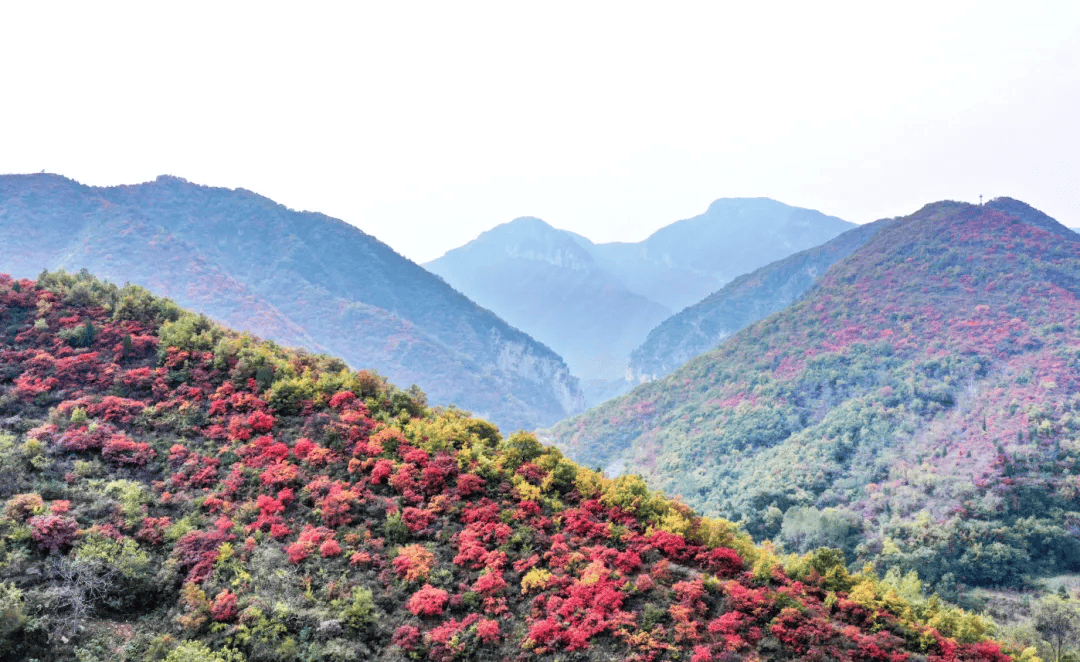 黃河文化+中部錦繡山嶽！鄭州入選國家精品自駕旅遊公路