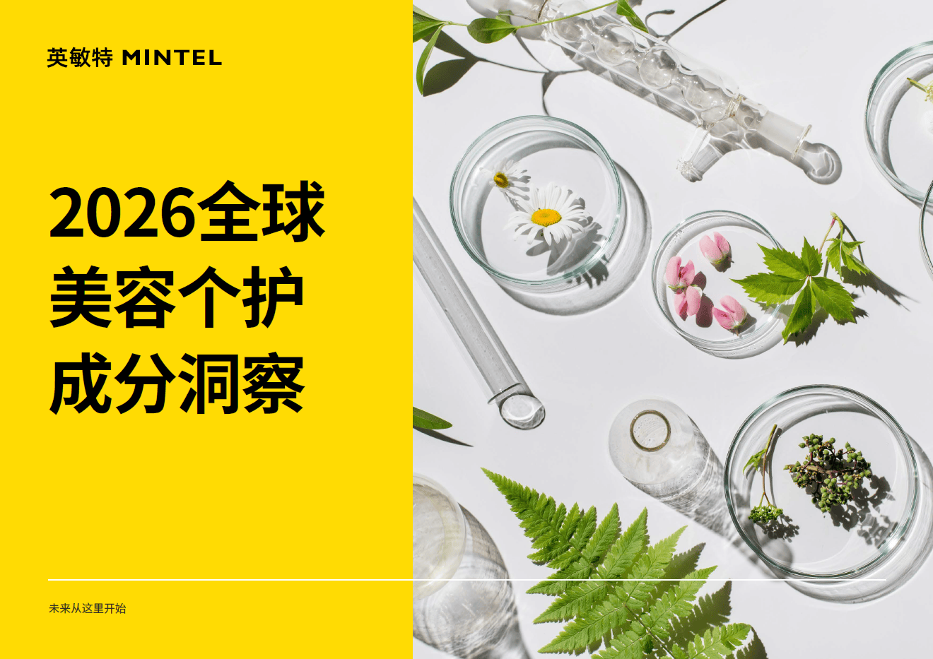 英敏特釋出全球美容個護成分五大趨勢：長壽科學、精準功效與院線級護膚引領創新方向