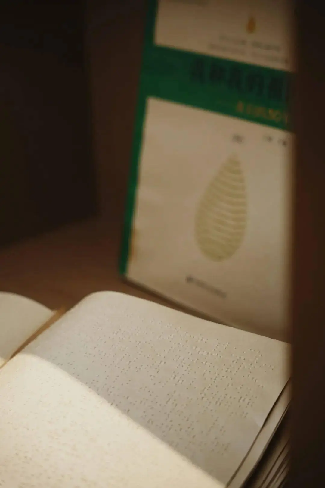 深圳又一圖書館（新館）來了！設計館藏110萬冊！