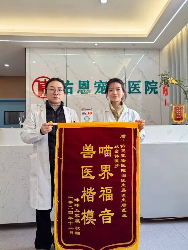 重慶寵物美容有哪些專業規範