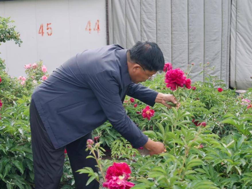 原創牡丹向北③｜“較勁”30餘年 靜待黑土上的論文收穫“花樣”產出