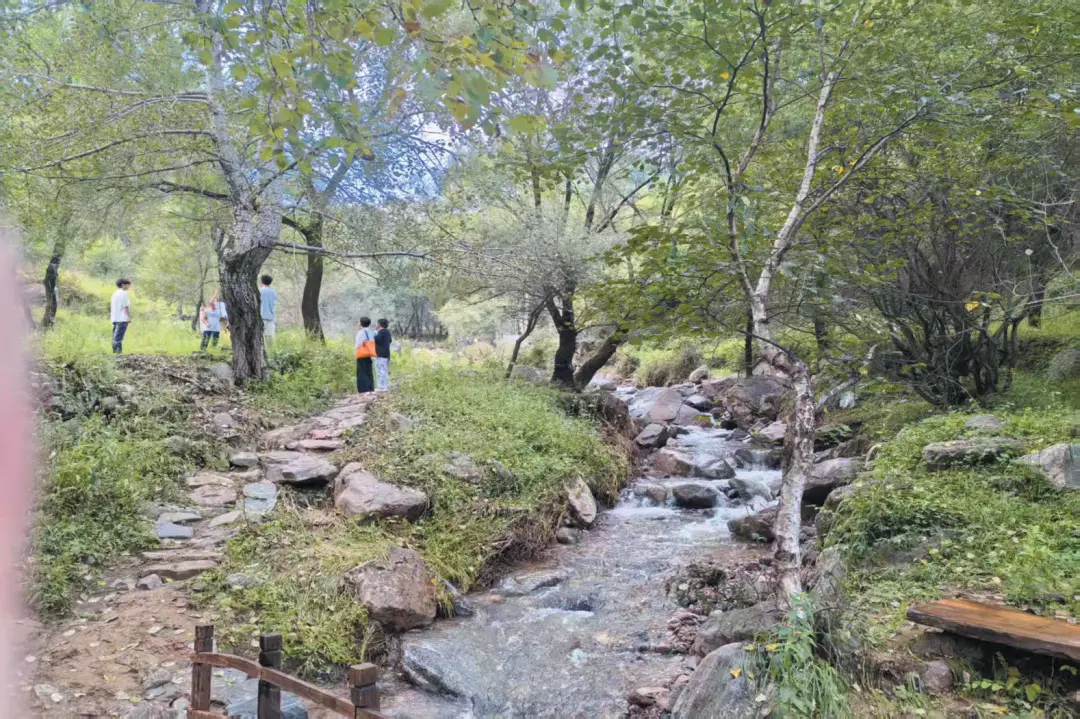 忻府區道東溝風景區成熱門旅遊打卡地