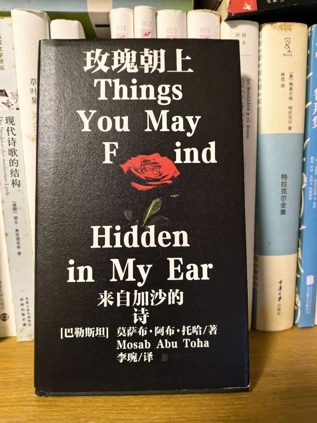 戰火中的圖書 | 林茶居