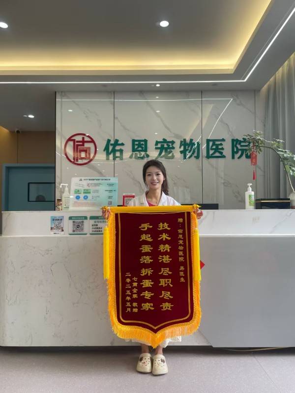 重慶寵物美容有哪些專業規範