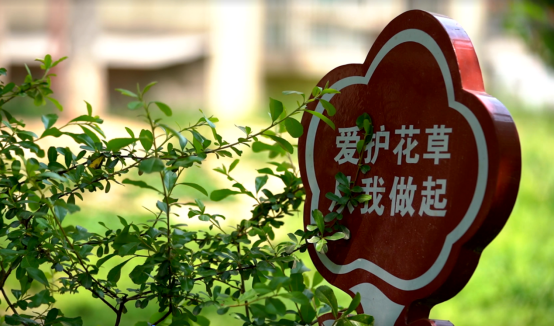我市舉辦2026年“文明旅遊我最美” 主題宣傳主場推介活動