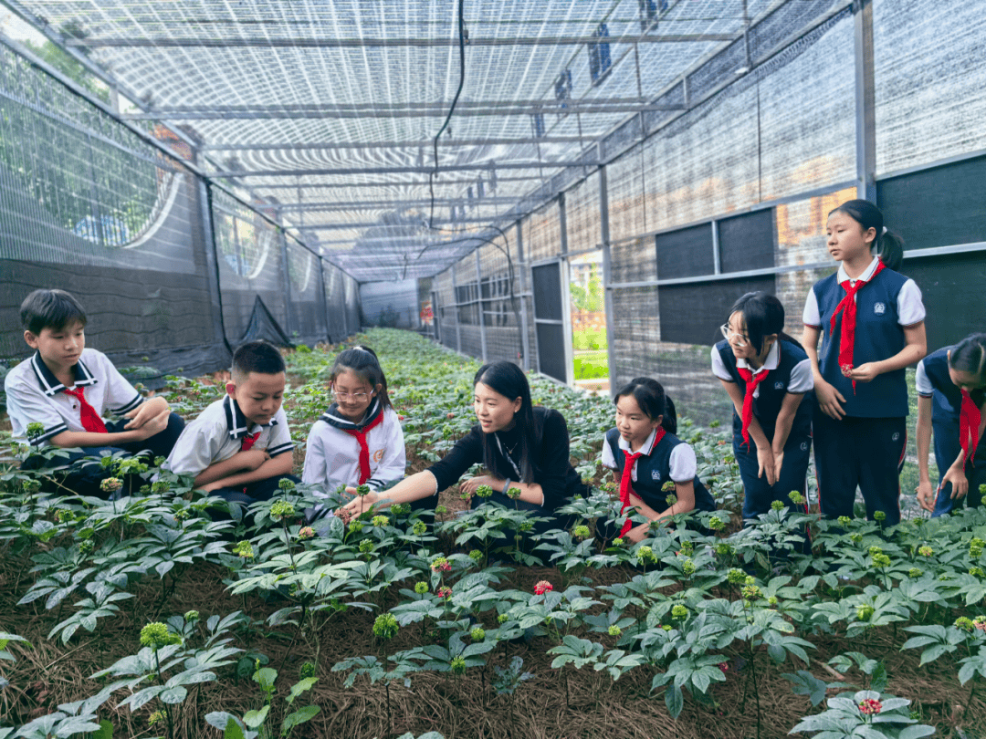 文山州：在邊疆辦好有質量有溫度的基礎教育