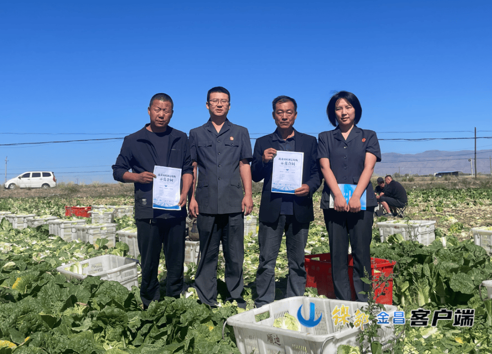 永昌縣人民法院：高原夏菜合同簽訂法律指引