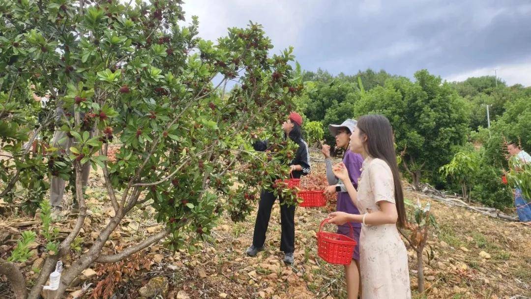 這個五一假期，麗江旅遊怎麼樣？