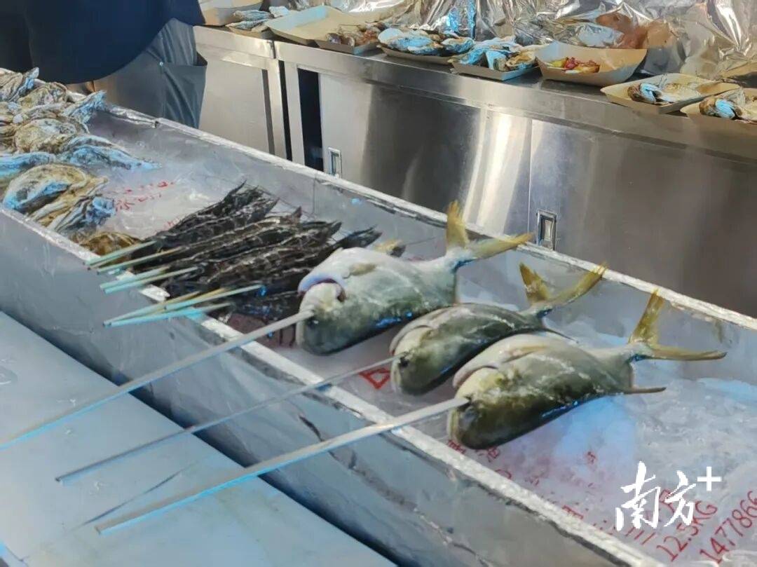 鮮味配佳釀，湛江海鮮美食節火熱開幕！