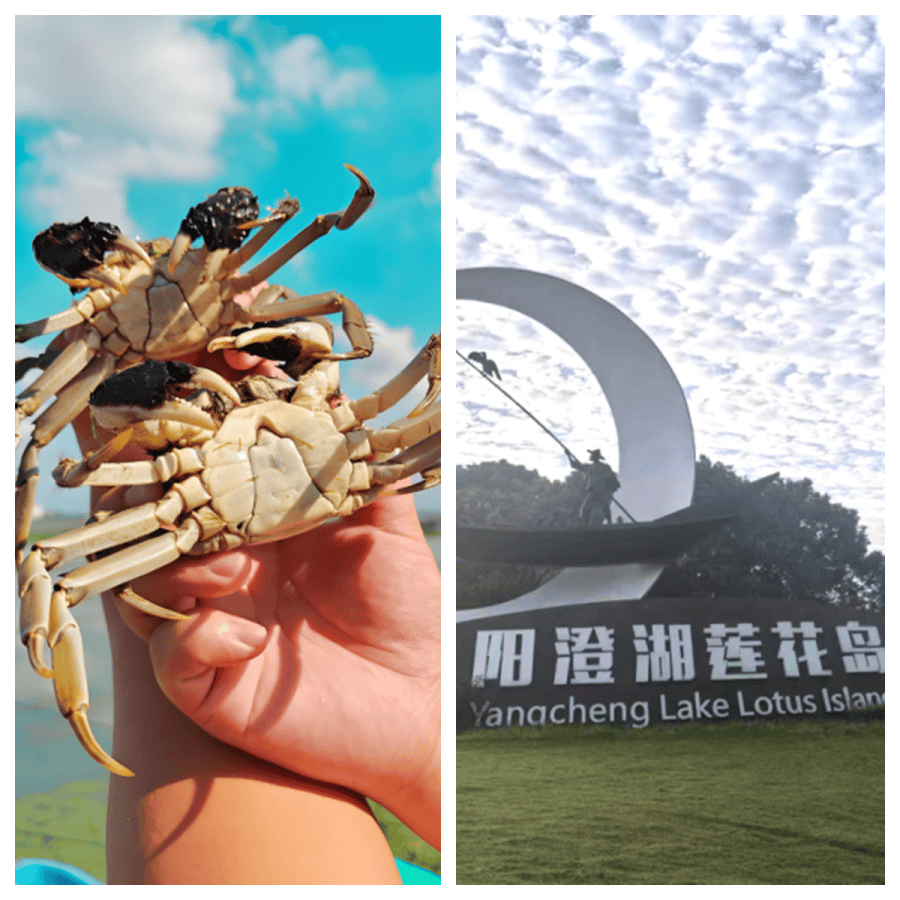 陽澄湖旅遊攻略吃蟹精選，陽澄湖農家樂吃到正宗大閘蟹