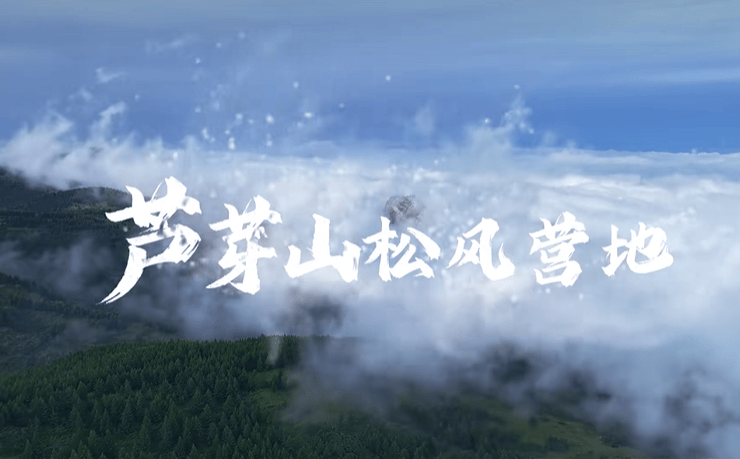 寧武：露營業態多點開花 賦能“大蘆芽山”全域旅遊