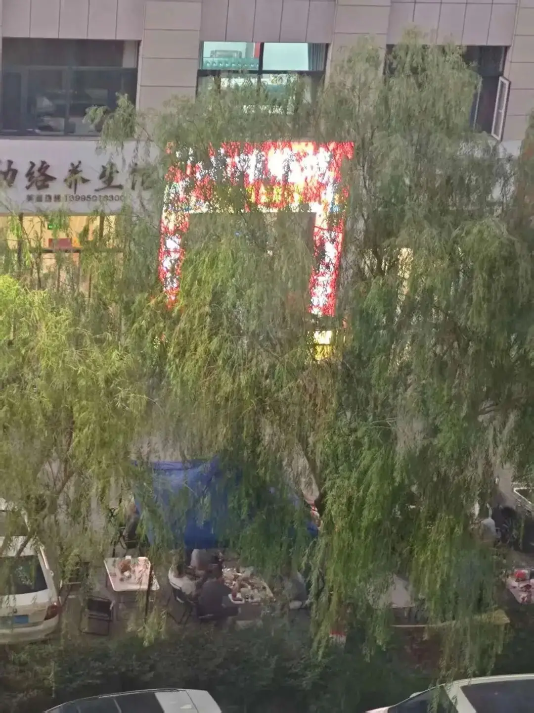 【文明靈武·你拍我改】民生訴求快速處置 亮化、佔道、安全隱患全部清零