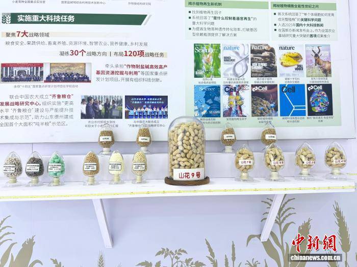 數智賦能展風采 山東高校硬核成果亮相教育博覽會