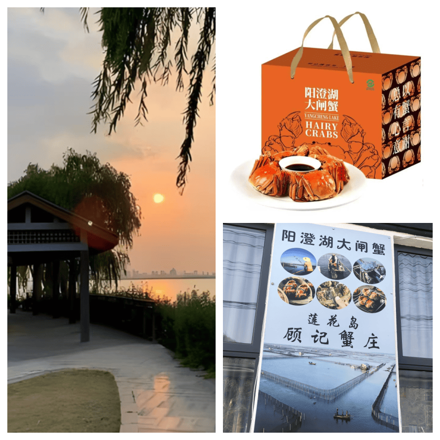 陽澄湖旅遊攻略吃蟹精選，陽澄湖農家樂吃到正宗大閘蟹