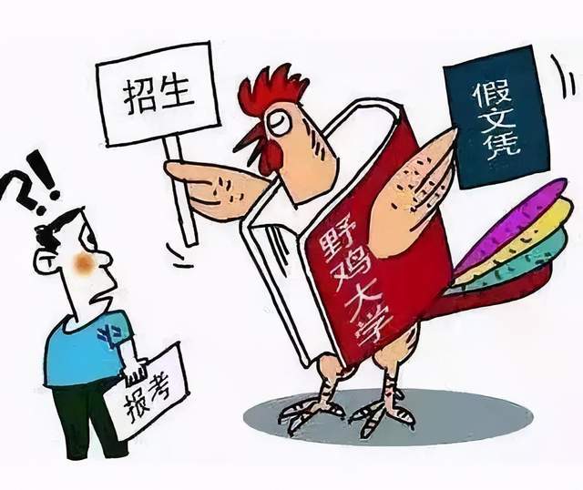 原創有些人不適合讀大學