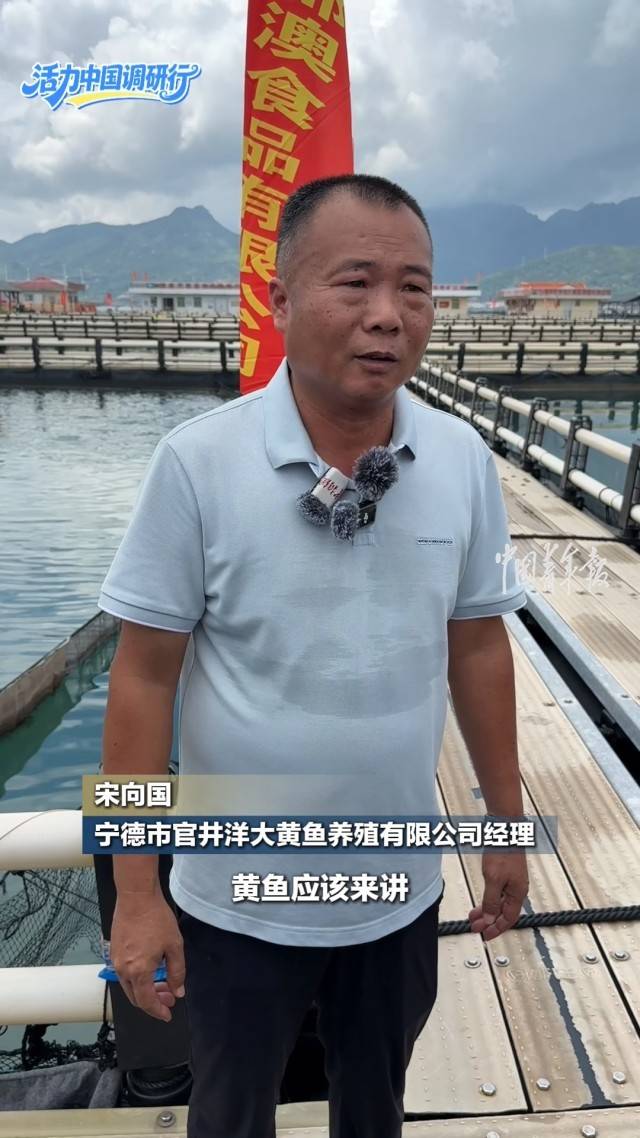 【活力中國調研行】福建：新鮮實惠，物流便捷，寧德大黃魚“遊”向海外
