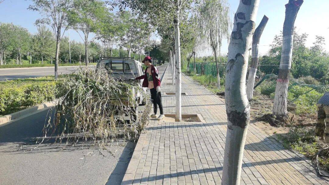 【文明靈武·你拍我改】民生訴求快速處置 亮化、佔道、安全隱患全部清零
