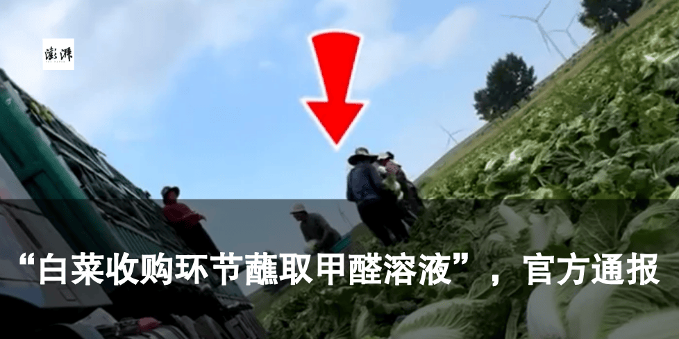韋東奕編小學數學練習冊，一點也不“掉價”