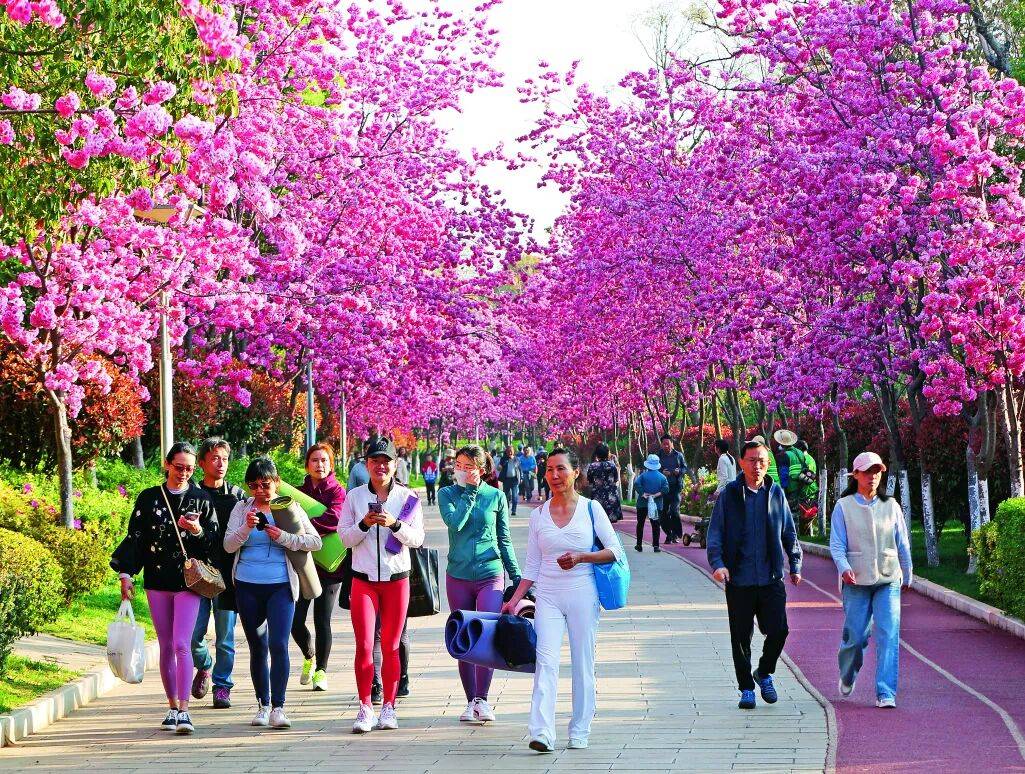 純乾貨！來昆明上大學這份攻略一定要收藏！吃住行玩全包