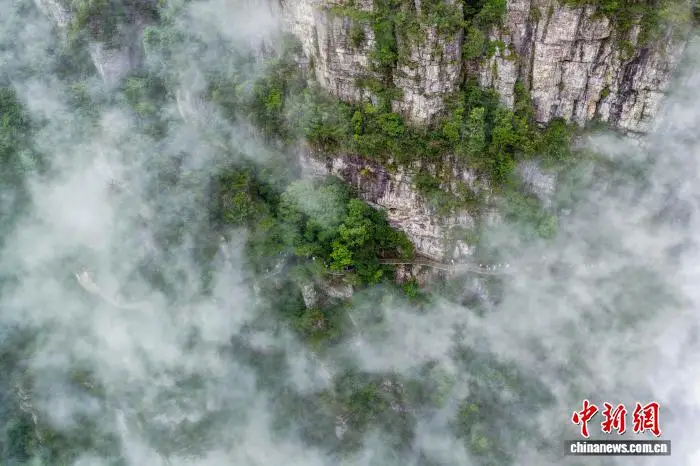廣西金秀大瑤山雨後景色如畫 無障礙登山成旅遊新體驗