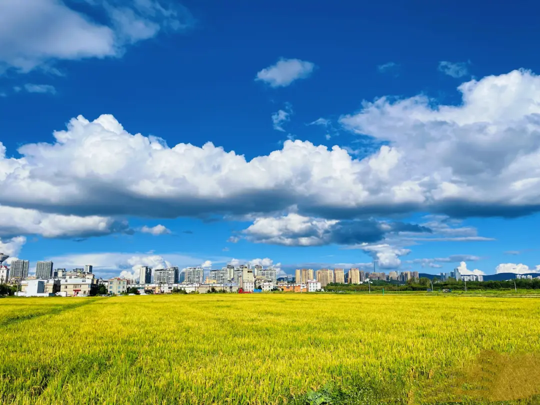 純乾貨！來昆明上大學這份攻略一定要收藏！吃住行玩全包