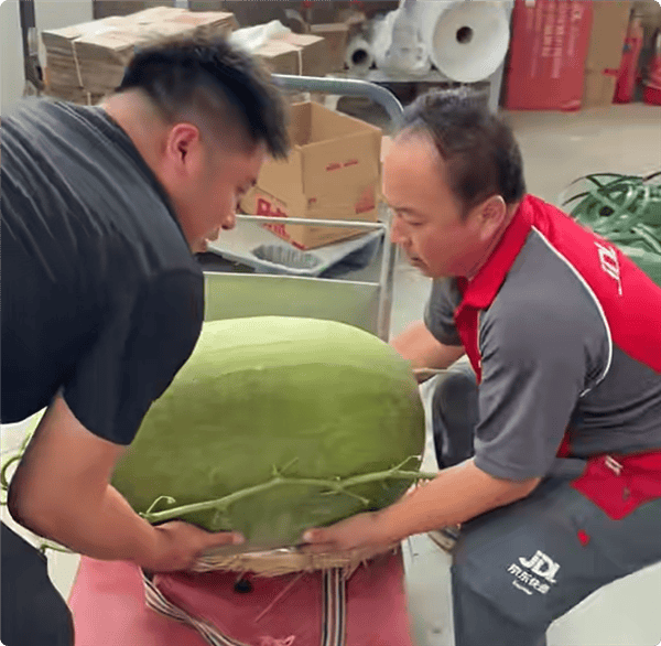 曾創吉尼斯紀錄！百斤大西瓜上市 快遞小哥直接用上爬樓機送貨