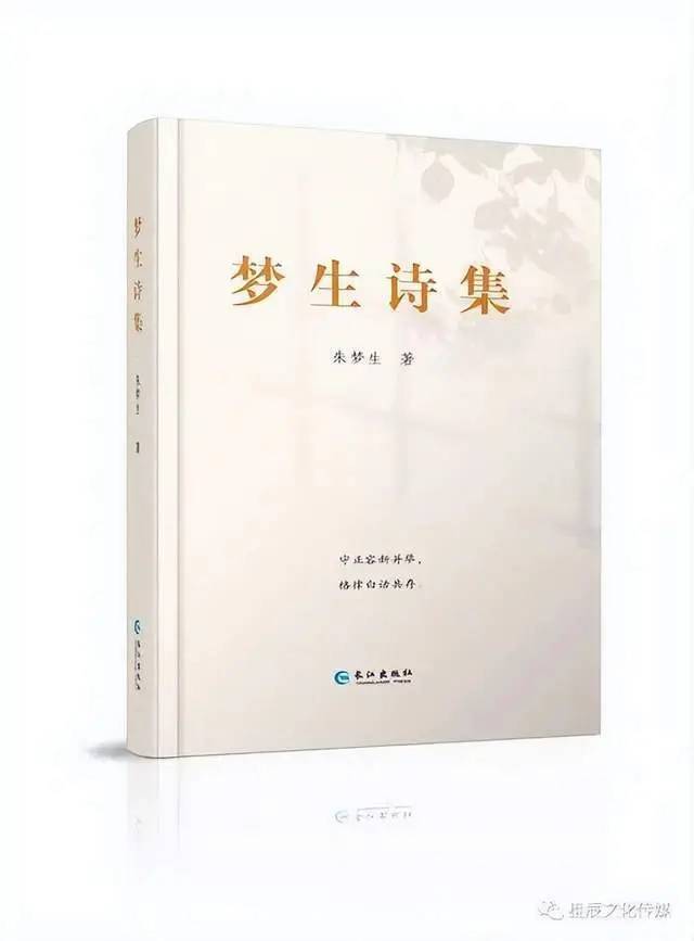 詩意江城：字波牽往事 句浪洗新緣——詩人夢生詩歌新作賞析
