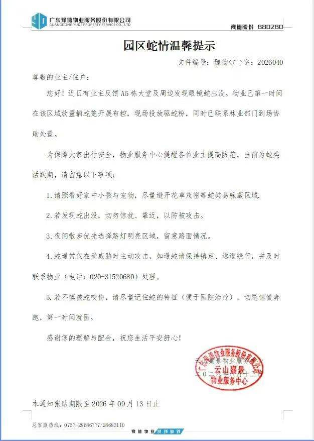 廣州一小區頻繁出現眼鏡蛇？市野保辦：清理雜物讓蛇主動撤離｜粵政通
